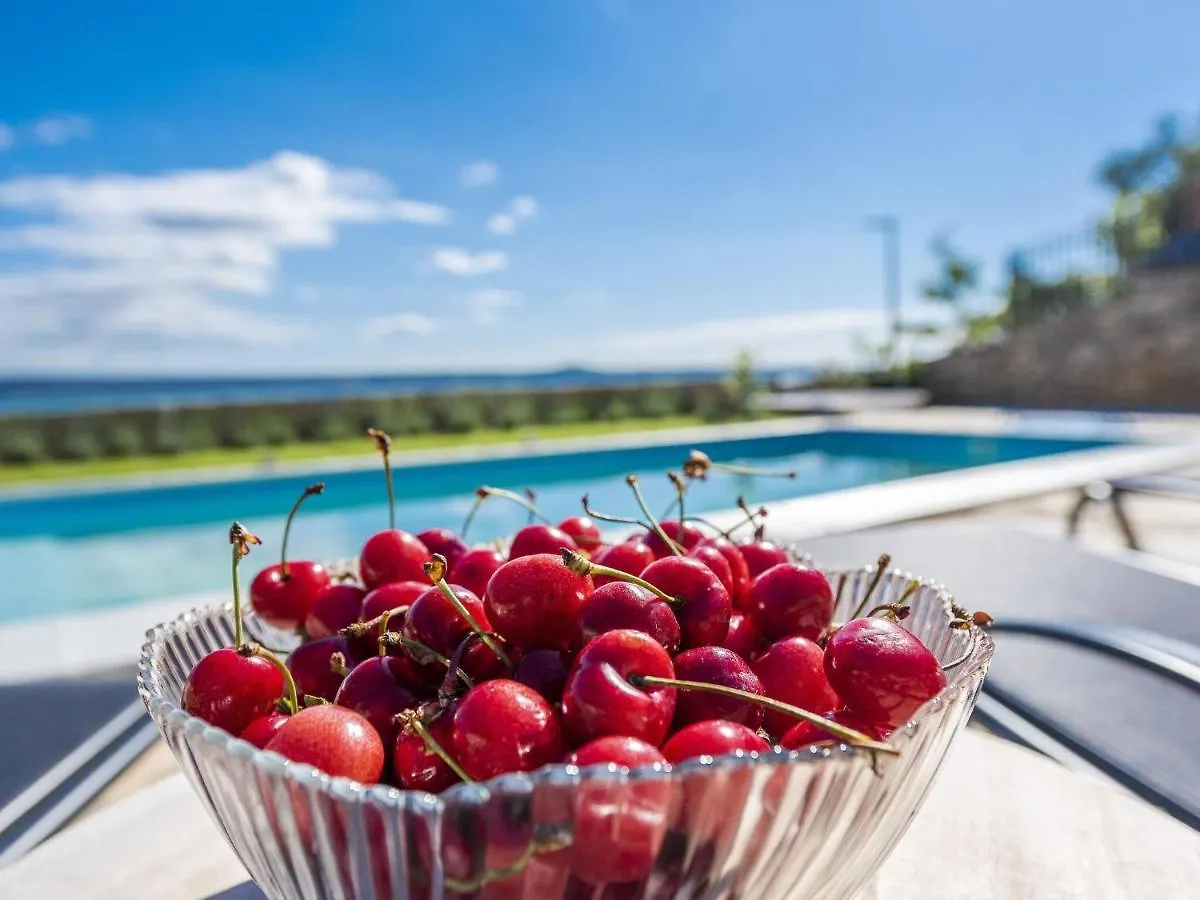 Modern Villa In Maslenica With Swimming Pool